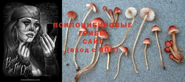 кокаин премиум Алексин