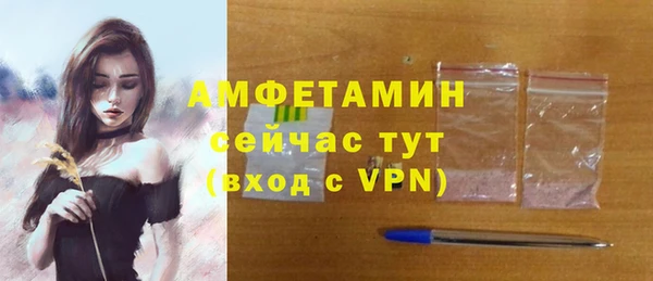 хмурый Мегион