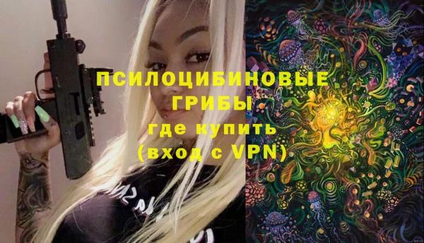 эйфоретик Алзамай