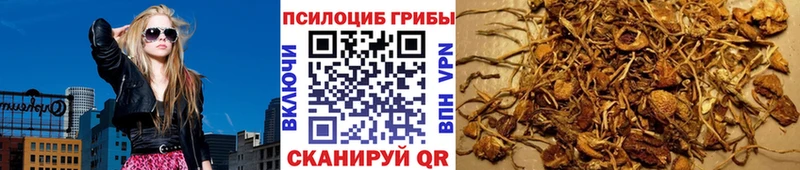 купить закладку  Черноголовка  Псилоцибиновые грибы мухоморы 